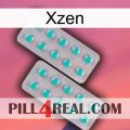 Xzen 29